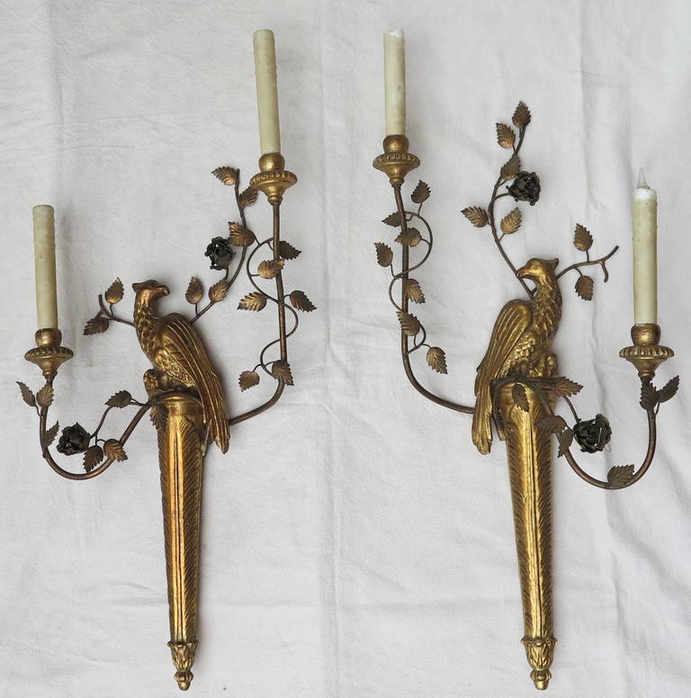 Pair of Sconces to the Giltwood Parrot and Gilded Iron