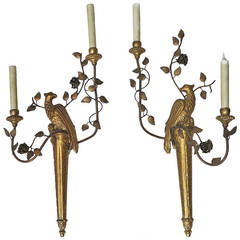 Retro Pair of Sconces to the Giltwood Parrot and Gilded Iron