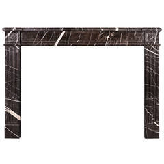 French Marble Fireplace in the Louis XVI Style 3