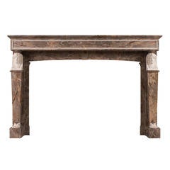 French Empire Sarancolin and Statuary Marble Fireplace Mantel 12