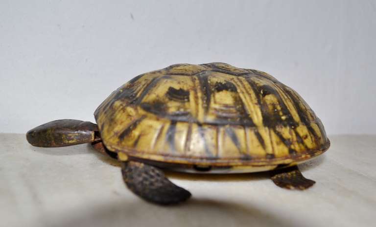 20th Century Lehmann Metal Toy Susi the Turtle 4