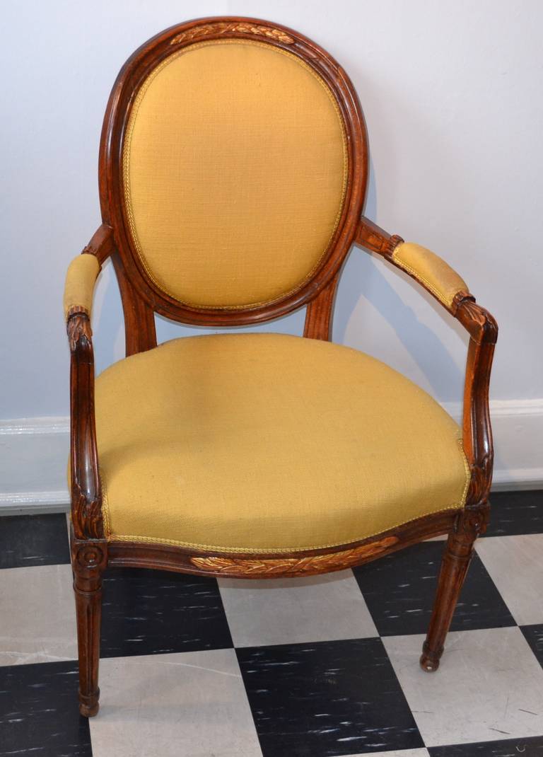 Very nice Louis XVI dark oak Medaillion Chair with gilded carvings.