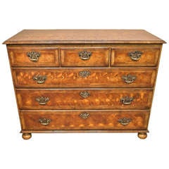 Rare Victorian Yew - Wood Chest of Drawers