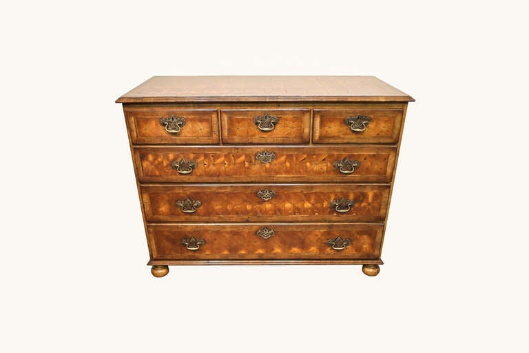 Rare Victorian Yew - Wood Chest of Drawers