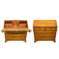Yew - Wood "Oyster" Bureau