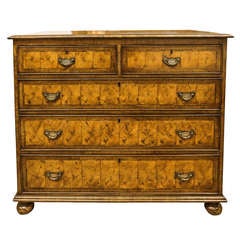 Yew - Wood "Oyster Chest Of Drawers"