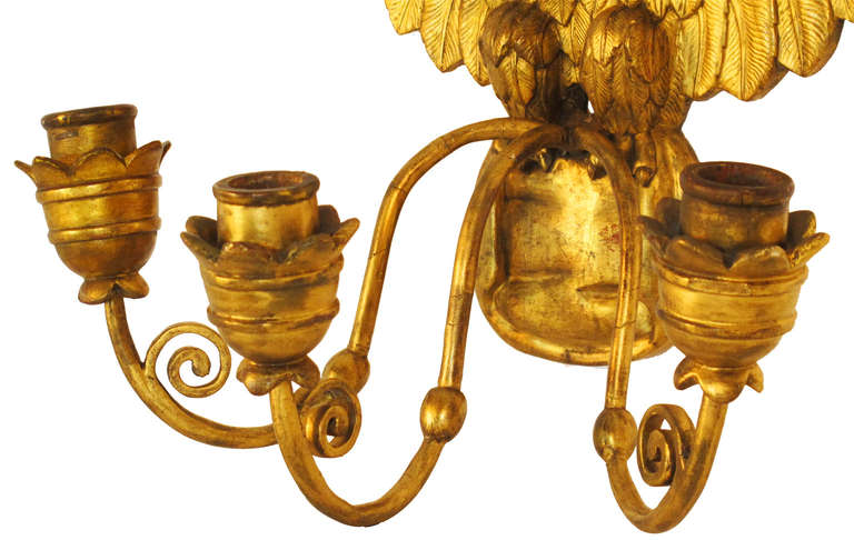 19th Century Beautiful Pair of French Empire Wall Chandeliers