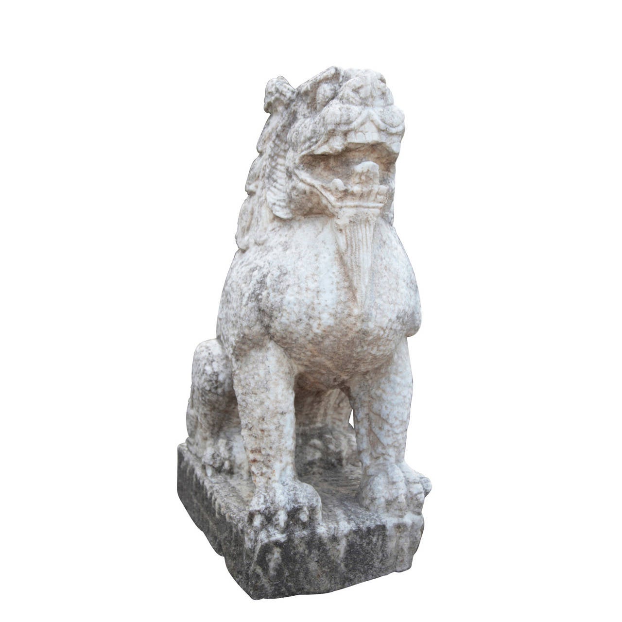 Very nice Marble Fu Dog sitting in typical posture on a rectangular plinth.