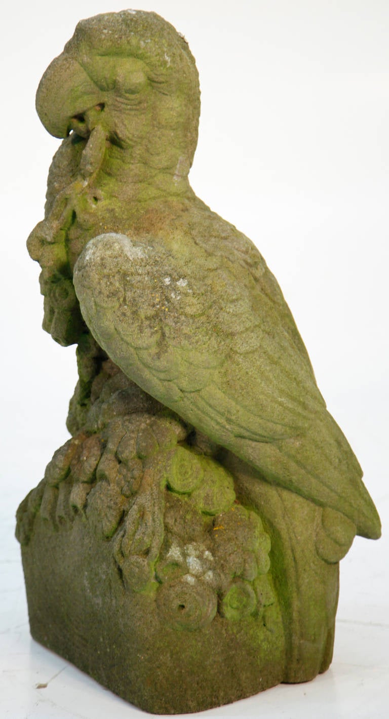 Unique Franconian Sandstone Cockatoo