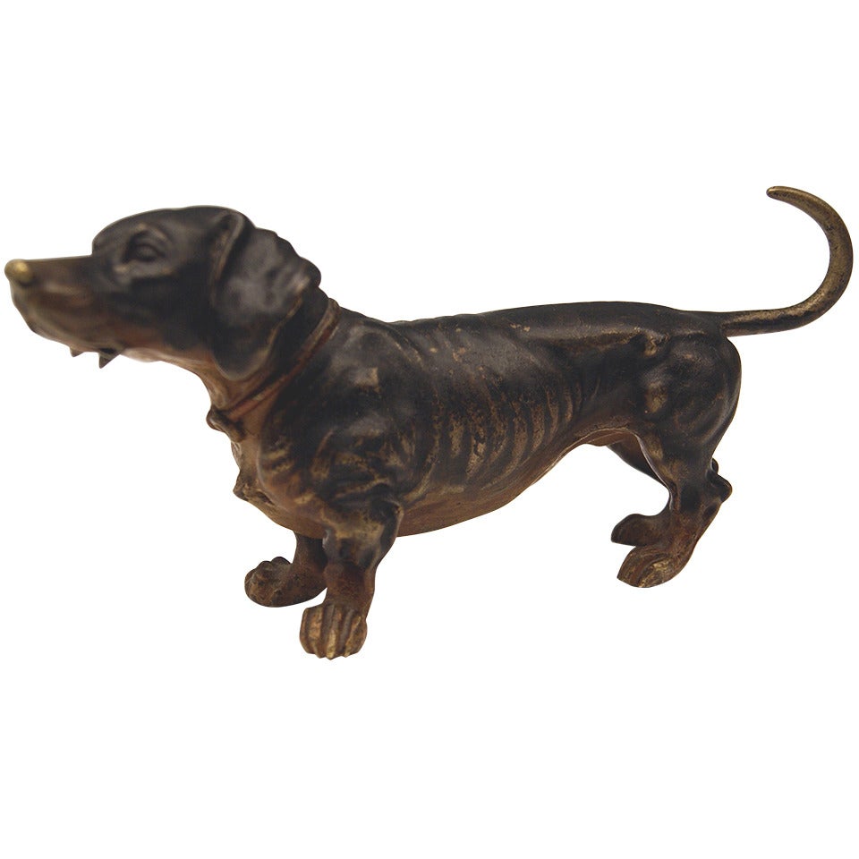 Wien Bronze Liebliche Hundefigur Dackel Um 1900