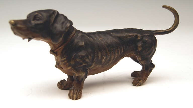 Wunderschöne Wiener Bronze Tierfigur aus einer Wiener Manufaktur um die Jahrhundertwende (um 1900). 
SIGNIERT STB / GESCHÜTZT ( = PROTECTED ). Die Unterschrift ist auf der Rückseite des Hundes zu sehen - der schöne Dackel steht auf der Erde.