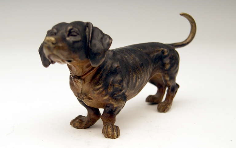 Wien Bronze Liebliche Hundefigur Dackel Um 1900 (Österreichisch)
