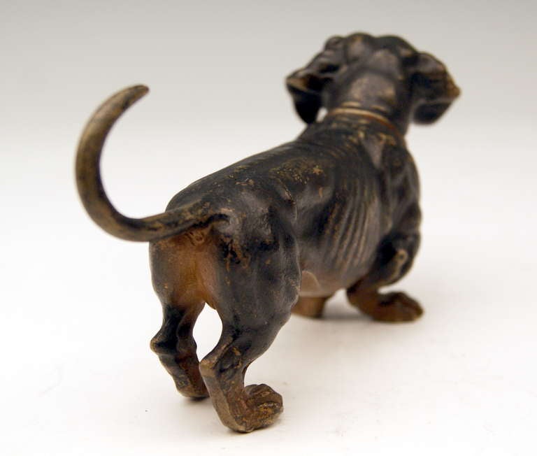 Wien Bronze Liebliche Hundefigur Dackel Um 1900 (20. Jahrhundert)