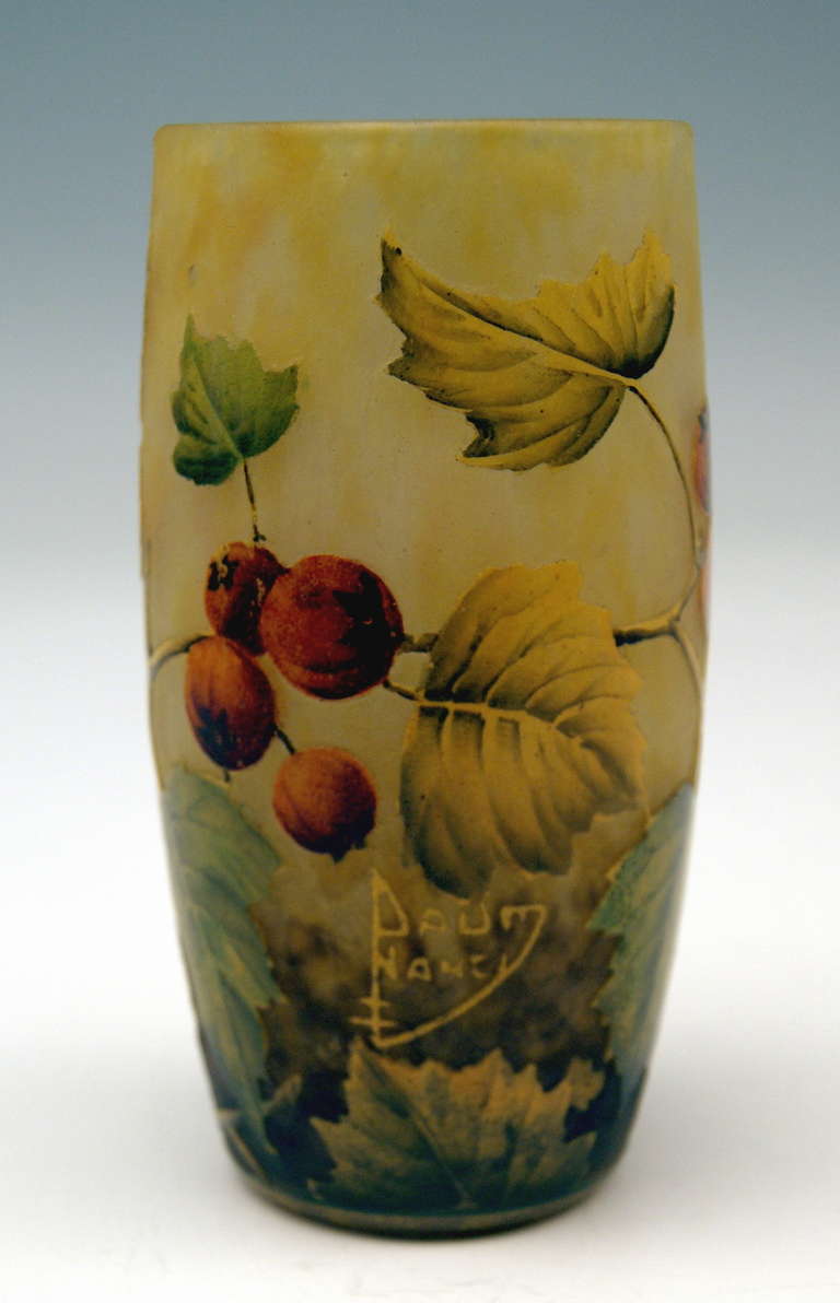 Glass Daum Nancy Vase with Rosehips Art Nouveau France Lorraine 1905 - 1910