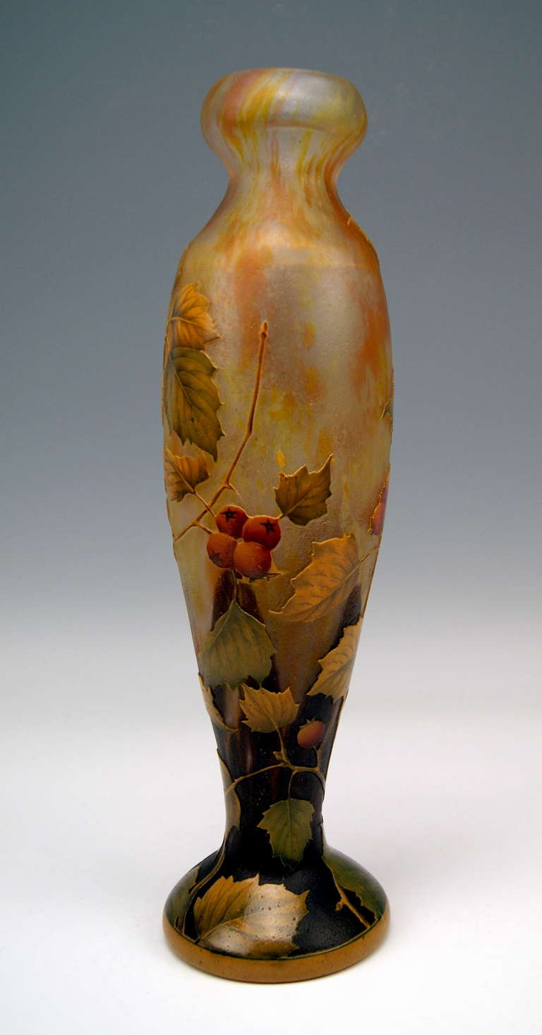 French Daum Nancy Tall Vase with Rosehips Art Nouveau France Lorraine 1900 - 1905
