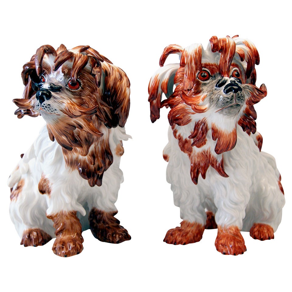 Meissen Pair of Bolognese Dog Figurines by Kaendler, 20th Century