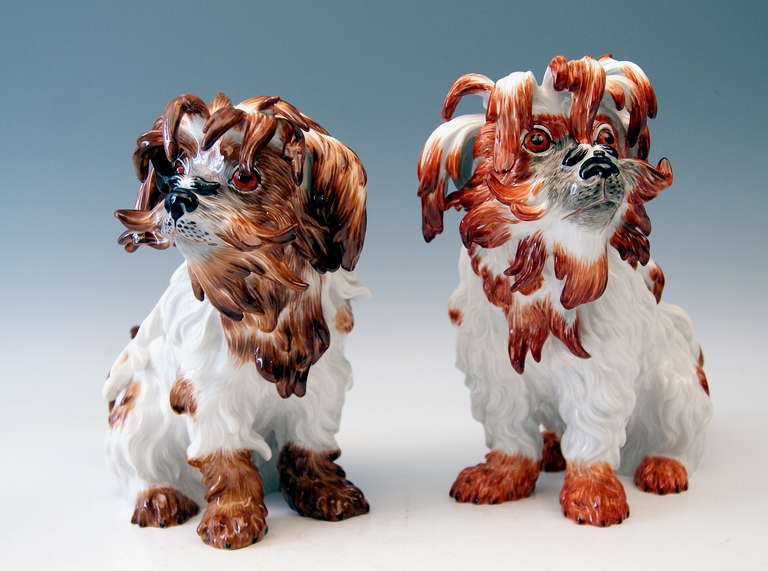 Meissen very lovely as well as gorgeous dog figurines group: so-said bolognese dogs, excellently painted (brown-white and red brown-white)  &  stunningly modelled (look for example at dog's hair,  please - the details are sculptured in finest