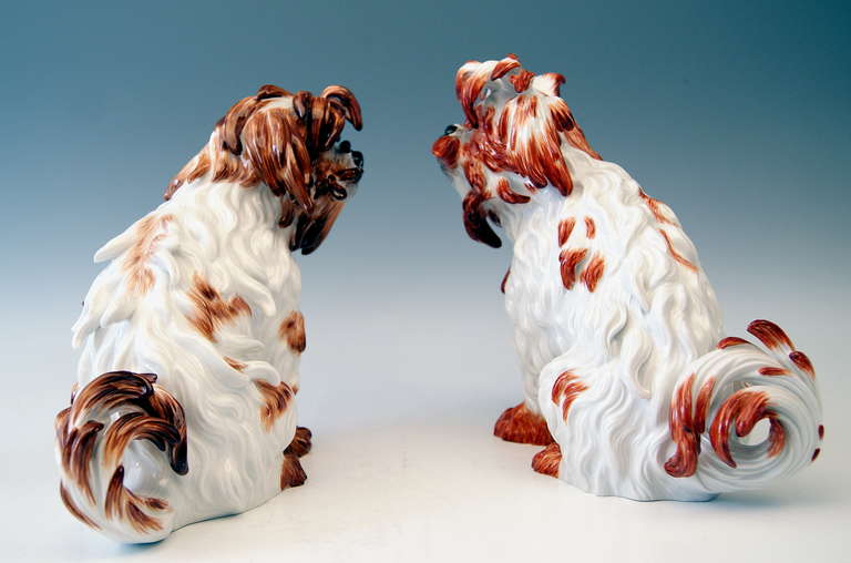 Baroque Meissen Pair of Bolognese Dog Figurines by Kaendler, 20th Century