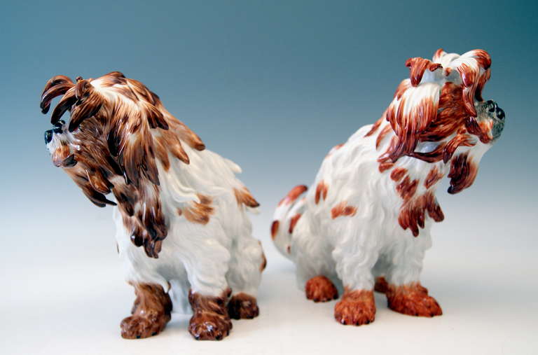 German Meissen Pair of Bolognese Dog Figurines by Kaendler, 20th Century