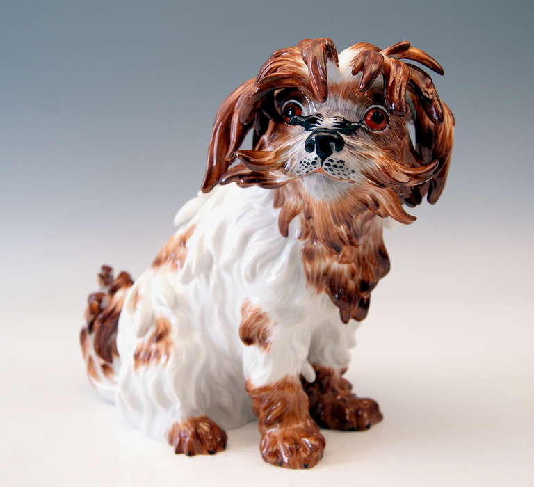 Painted Meissen Pair of Bolognese Dog Figurines by Kaendler, 20th Century