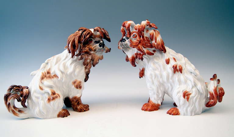 Meissen Pair of Bolognese Dog Figurines by Kaendler, 20th Century 2
