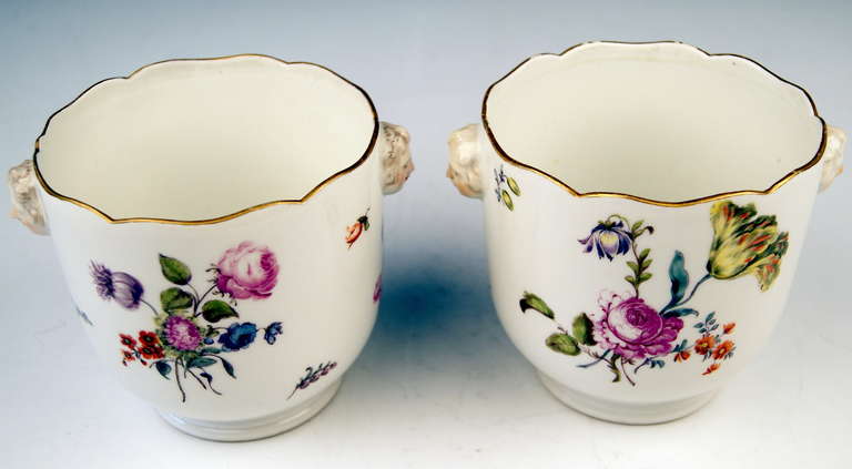 German Meissen Pair of Cachepots Planters Flower Blossoms Rococo Period c. 1750 For Sale