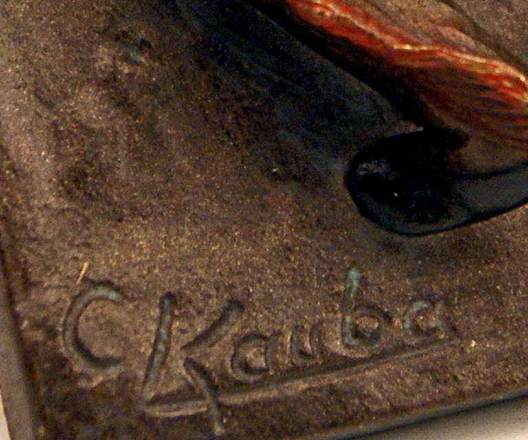 native american rifle