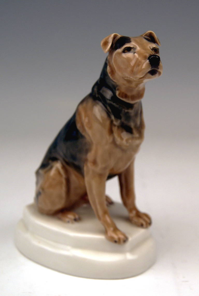 Meissen Preciosa Figurita de Perro:
Es Un Tipo De Smooth Fox Terrier Británico Sentado Sobre Base Oval Blanca   /  El cuerpo del perro es de color parduzco, con manchas oscuras.

Modelo inventado por Paul Walther  (1876 - 1933)   /   Creado 