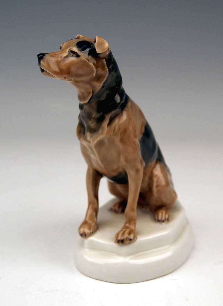 Allemand Lovely Dog Figurine Terrier de Meissen par Paul Walther, fabriqué vers 1935 en vente