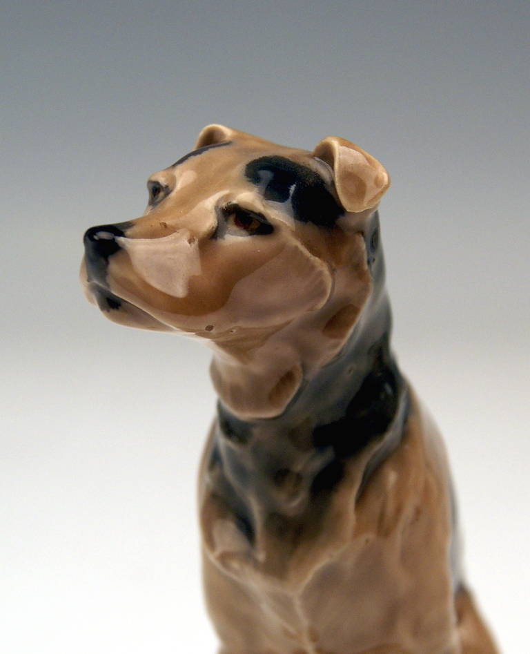 Milieu du XXe siècle Lovely Dog Figurine Terrier de Meissen par Paul Walther, fabriqué vers 1935 en vente