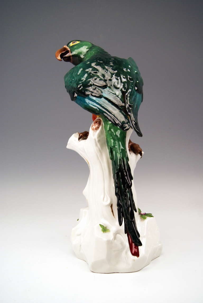 German Meissen Animal Figurine Parrot Macaw 19th Century, Kaendler