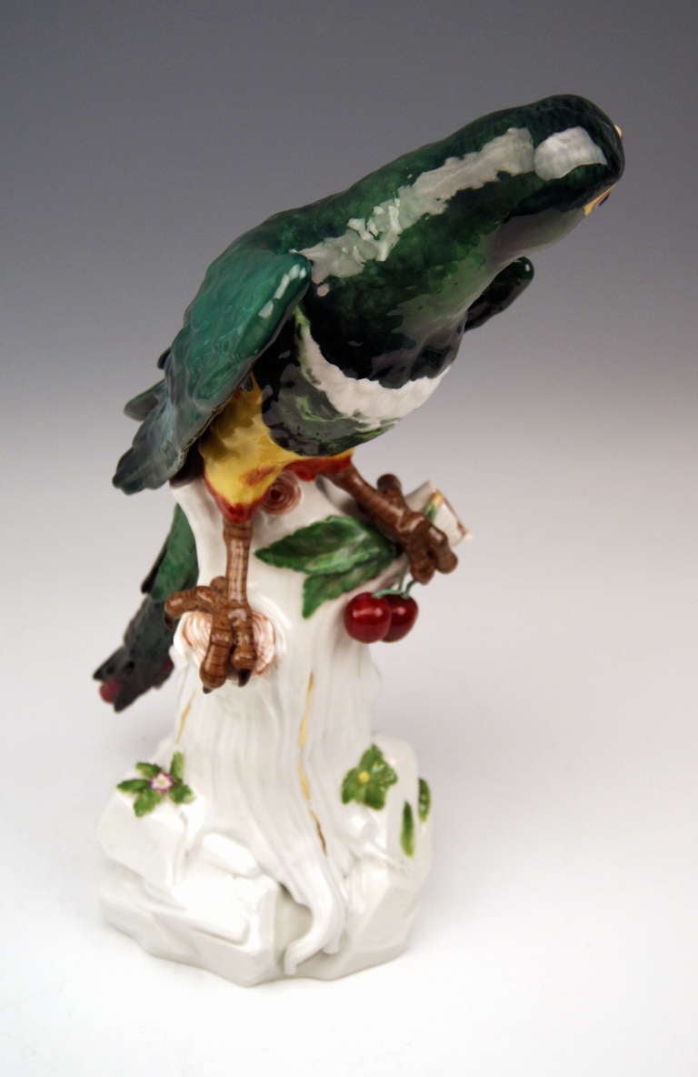 Meissen Animal Figurine Parrot Macaw 19th Century, Kaendler 1