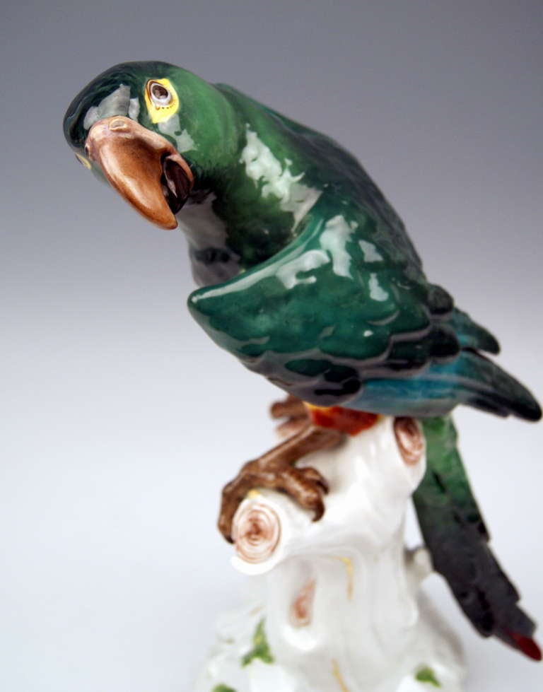 Meissen Animal Figurine Parrot Macaw 19th Century, Kaendler 2