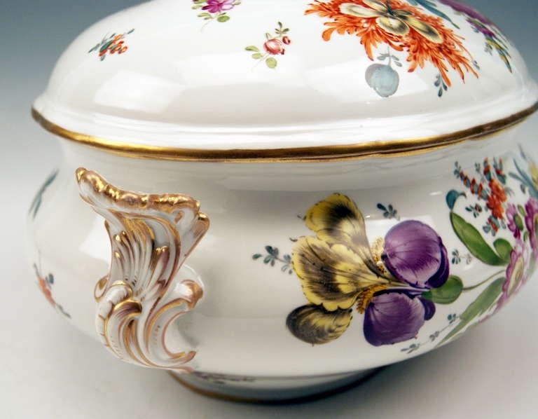 German Meissen Lidded Soup Tureen for Collection 19th C.