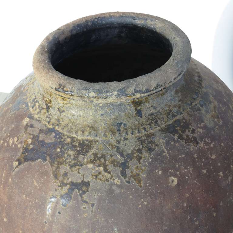 Tinaja / Impruneta Terracotta Wine Amphora, Spain 1800-1820 In Good Condition In Karlsruhe, DE