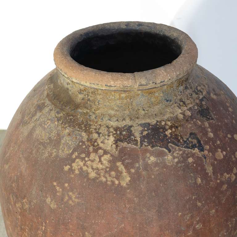 19th Century Tinaja / Impruneta Terracotta Wine Amphora, Spain 1800-1820