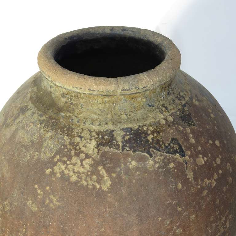 Tinaja / Impruneta Terracotta Wine Amphora, Spain 1800-1820 1