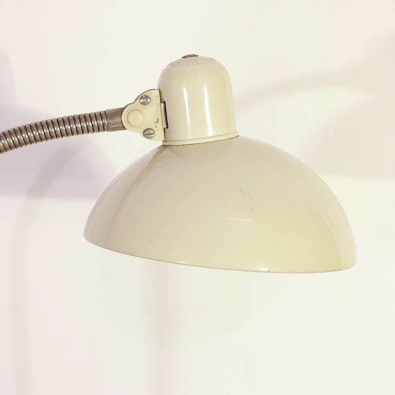 Kaiser Idell 6740 Clamp Task Lamp in White, Germany 1920-1930