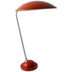 Unusual Italian Mushroom Outdoor Lamp Garden Lamp Unused From The 1950s