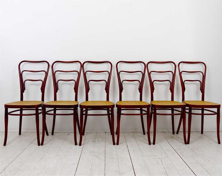 A very beautiful set of 6 bentwood Art Nouveau Thonet chairs. Originally designed by Adolf Loos for Café Museum at Karlsplatz Vienna, this set is an adapted re-edition, issued by Thonet Vienna in 1994. Made of bentwood with elegante red/brown
