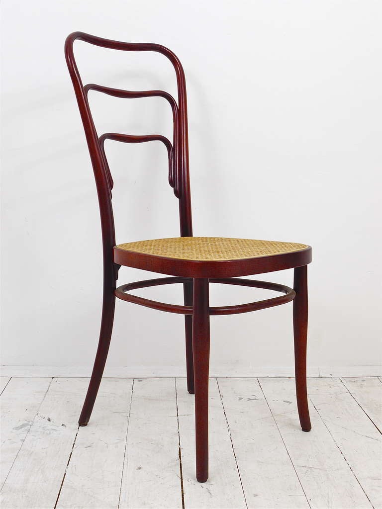 Autrichien Lot de 6 chaises en bois courbé Adolf Loos Thonet Vienna Café Museum Art Nouveau