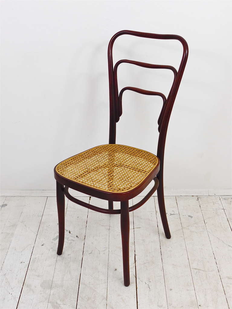 20th Century Set of 6 Adolf Loos Thonet Vienna Café Museum Art Nouveau Bentwood Chairs