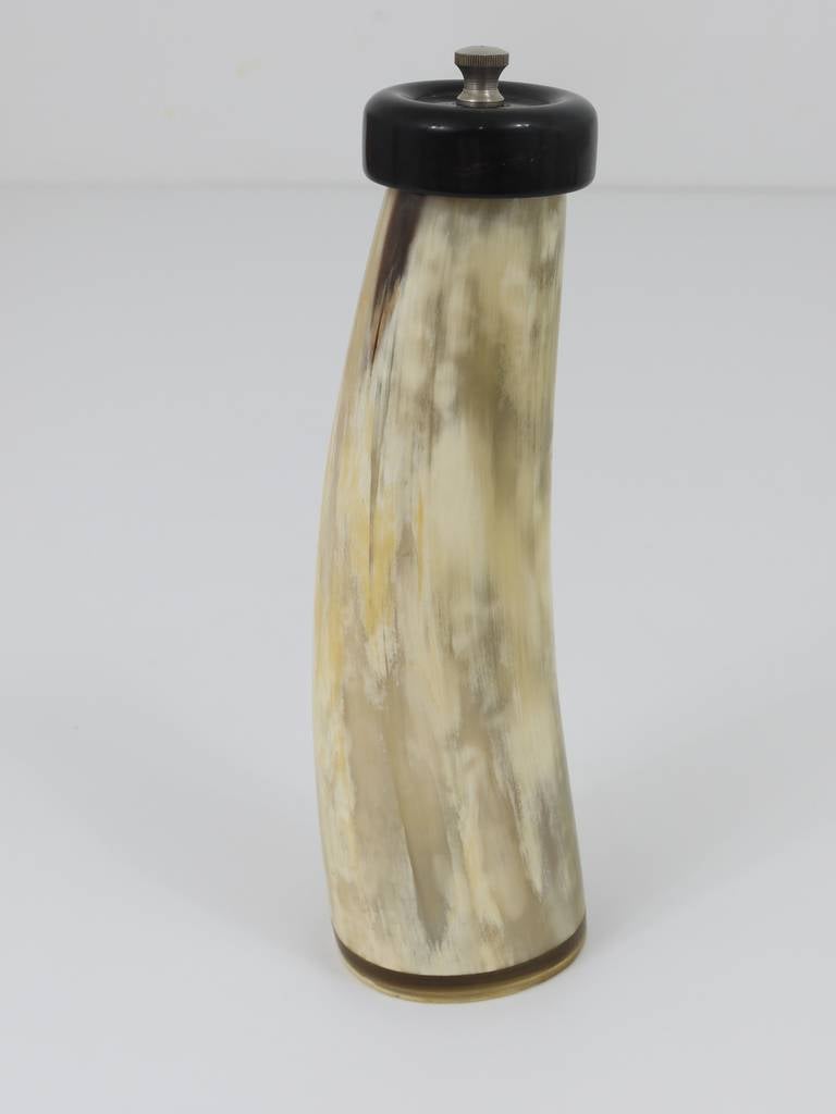 Schöne Carl Aubock Horn-Pfeffer- oder Salzmühle aus der Mitte des Jahrhunderts, Österreich, 1950er Jahre (Mitte des 20. Jahrhunderts) im Angebot