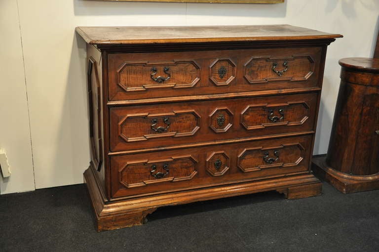 A 17th Century Italian Chest of Drawers In Excellent Condition For Sale In Formigine Modena, IT