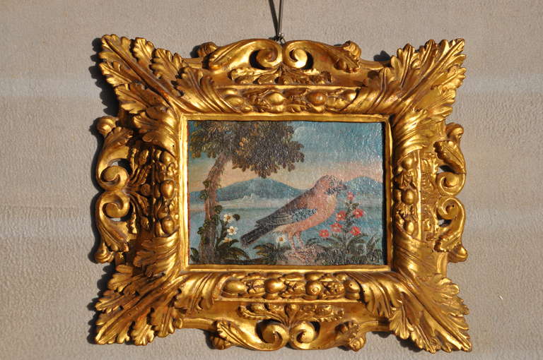 A very important Palatina ( or Pitti ) frame Florence Sec. XVII
Carved and gilded wood, overall decorated with vegetal motives, leaves at the corners, and curls to the centre of each side.

The frame is in perfect condition.
Inside an oil on