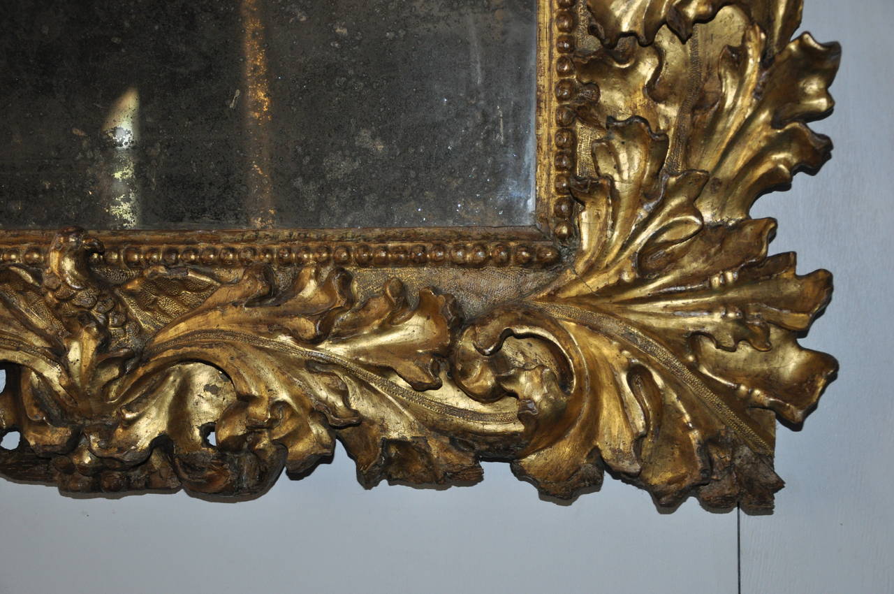 A very fine and rare giltwood mirror, overall carved with foliage motives and with eagles at the centers.
Original mirror and incredible condition of conservation.
Italy Sec. XVII
Total size 
cm 126 x 96
