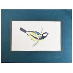 Set of Five 19th Century Colored Bird Lithographs