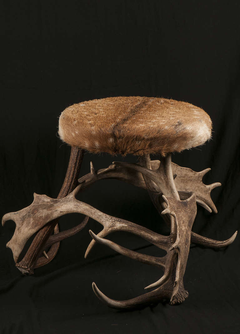 Stool with Elk Horn Wrapped in Elk Leather In Excellent Condition For Sale In Madrid, ES