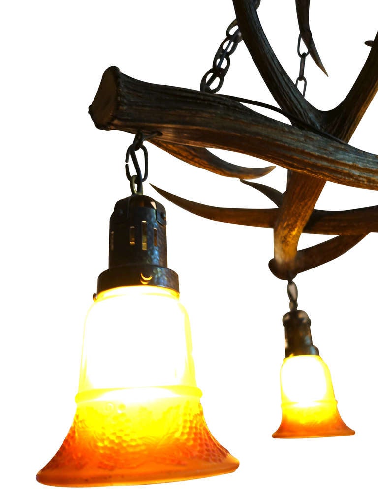 Red Deer Antler Chandelier from Germany, Wired for US