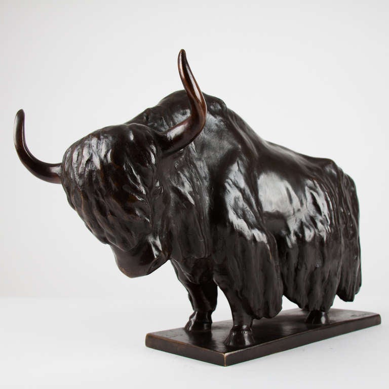 Bronze Bison, Signed by Feihs